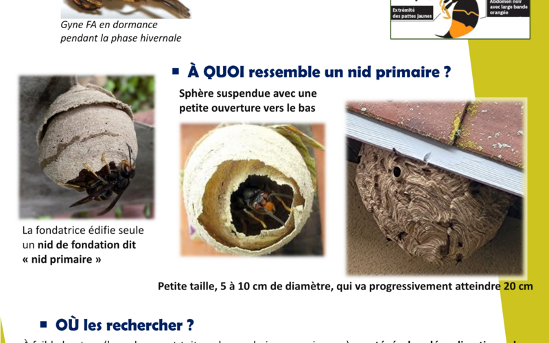Toutes les actualités de Pizay